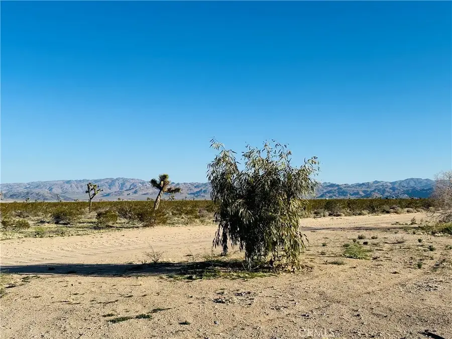 1974 Sunset, Joshua Tree, CA 92252 - #2