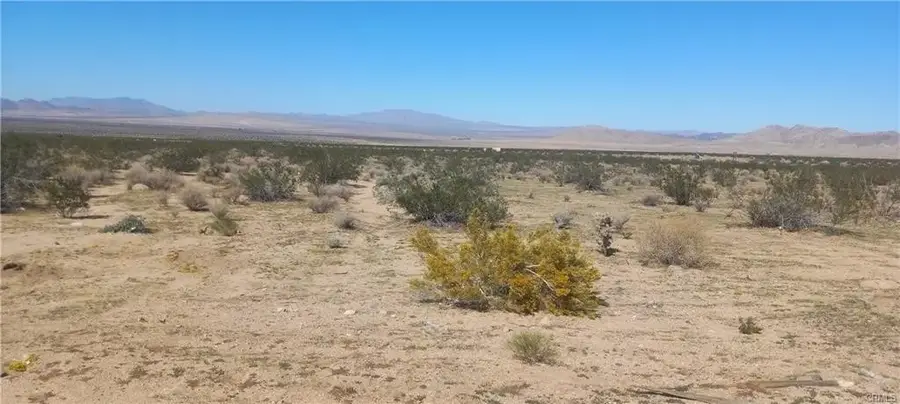 0 N Joshua Tree, Johnson Valley, CA 92285 - #3