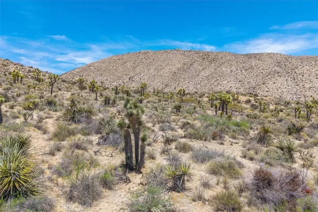 55652 Buena Vista, Yucca Valley, CA 92284 - #1
