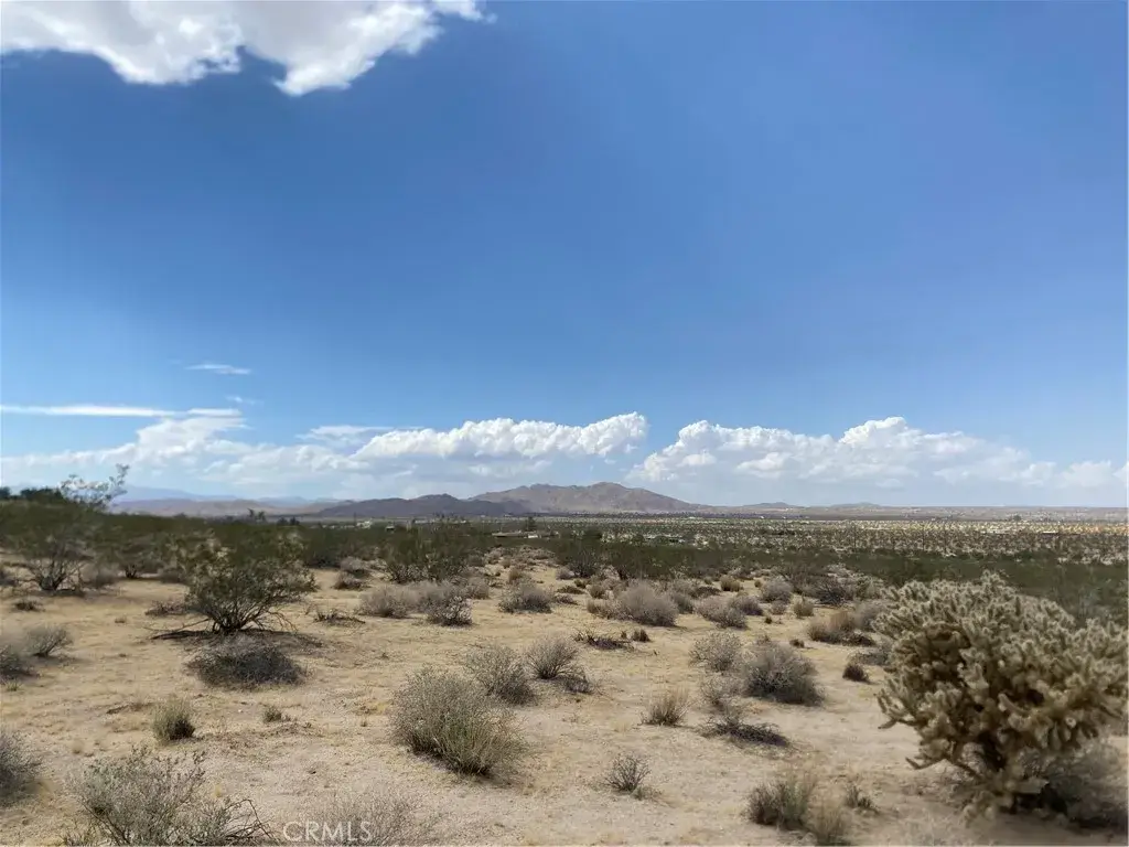 123 California, Joshua Tree, CA 92252 - #1