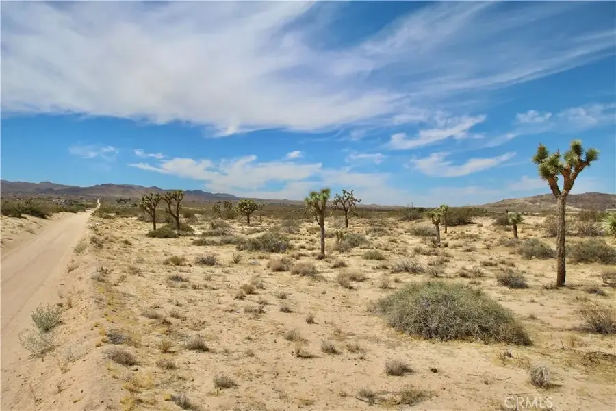 0 Pine, Landers, CA 92285 - #3