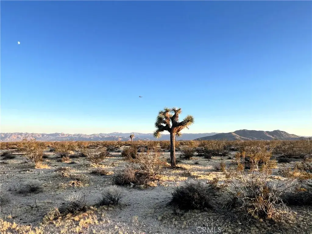 1010 Celeste, Joshua Tree, CA 92252 - #1