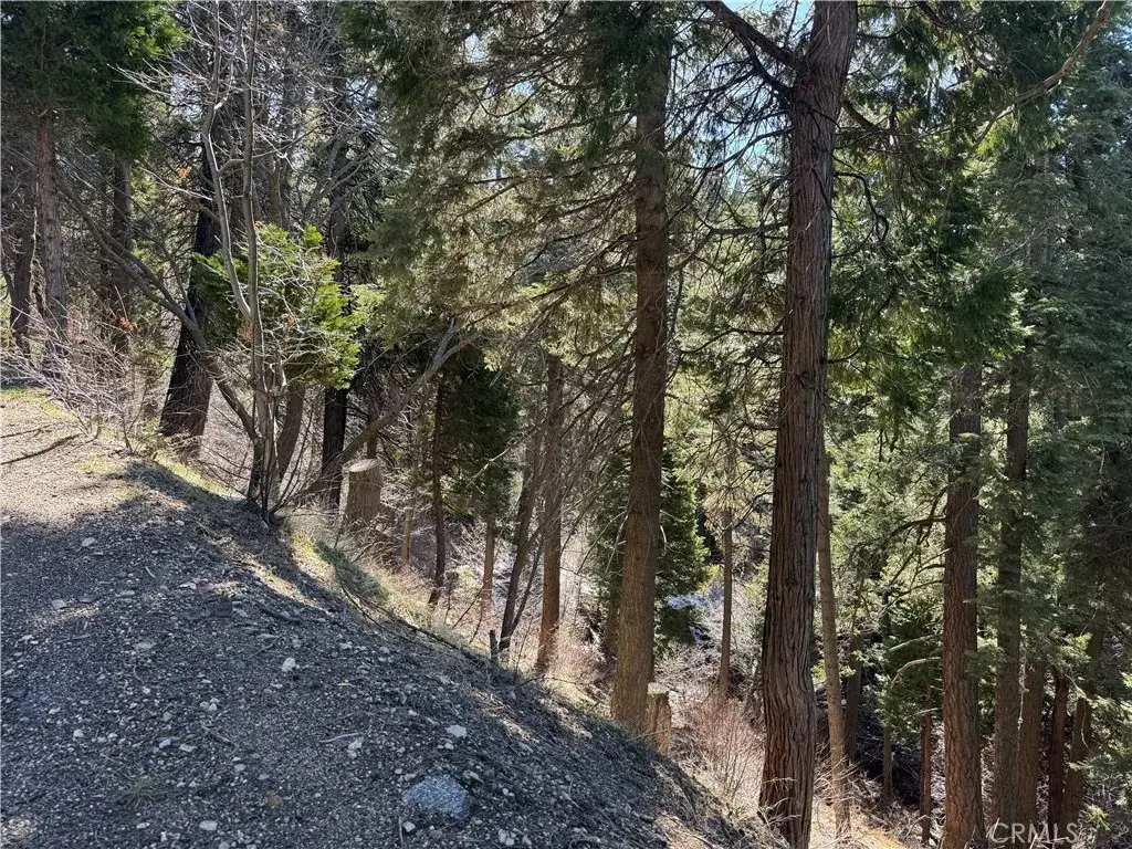 0 Sunderland, Lake Arrowhead, CA 92352 - #1