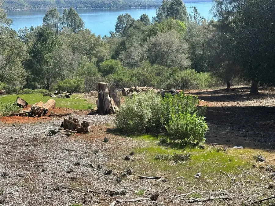 3648 Shoreline View, Kelseyville, CA 95451 - #2
