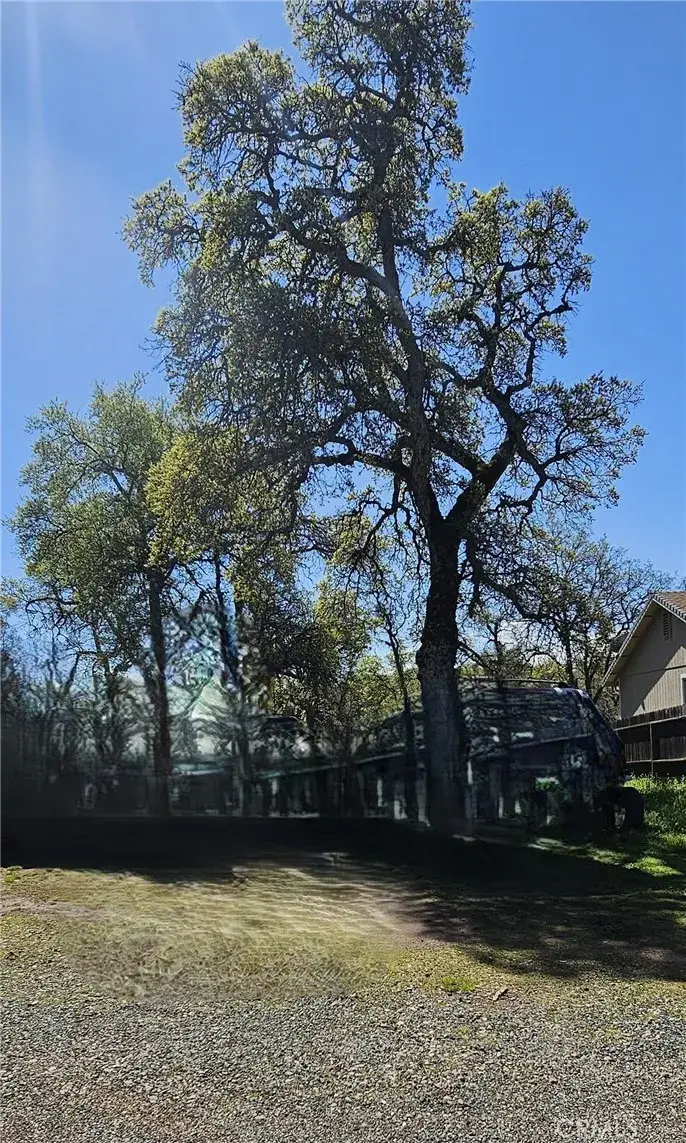 16163 24th, Clearlake, CA 95422 - Image #3