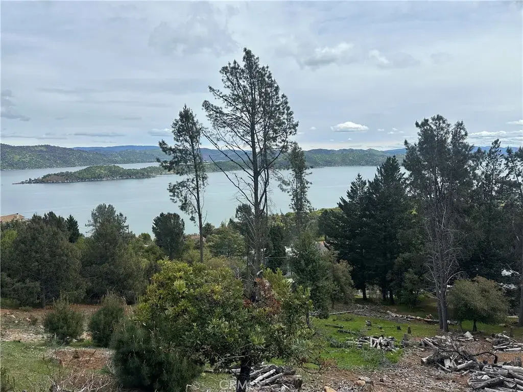 3382 Pine Terrace, Kelseyville, CA 95451 - #1