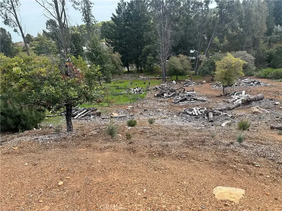 3382 Pine Terrace, Kelseyville, CA 95451 - #2