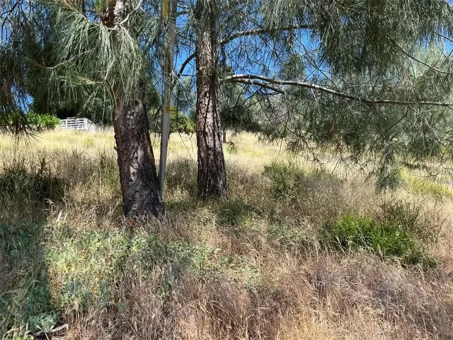 6925 Echo, Kelseyville, CA 95451 - Image #3