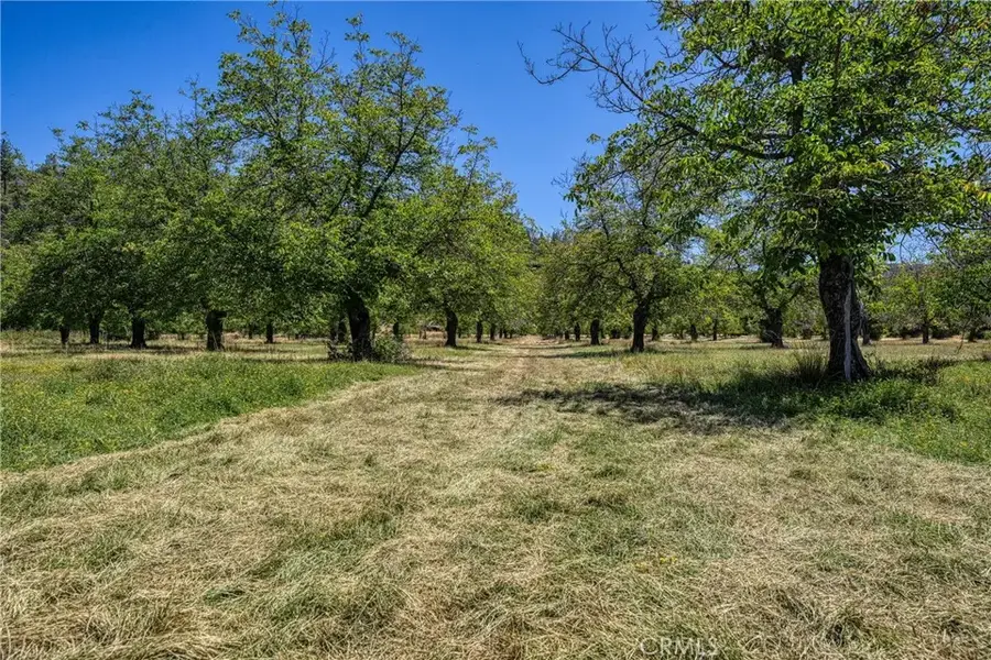 1286 Pitney, Upper Lake, CA 95485 - Image #3