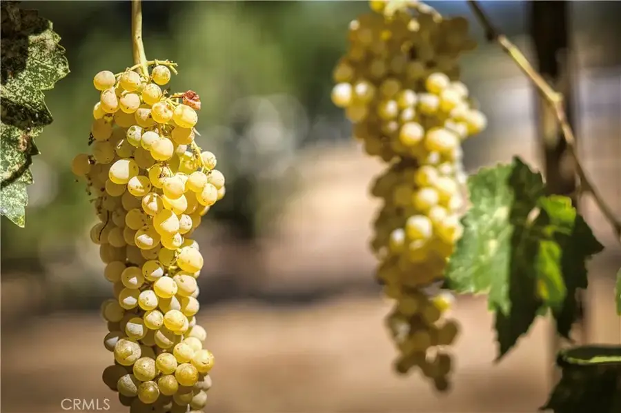 1720 E. Highway 20, Upper Lake, CA 95485 - Image #3