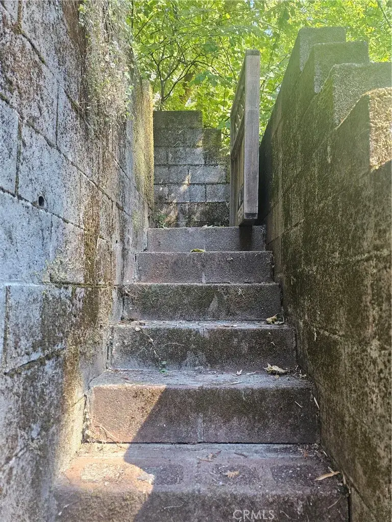 135 Redwood Avenue, Occidental, CA 95419 - Image #3