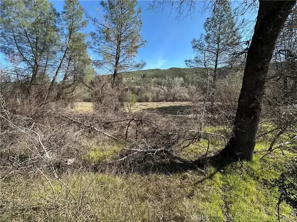 1395 New Long Valley, Clearlake Oaks, CA 95423