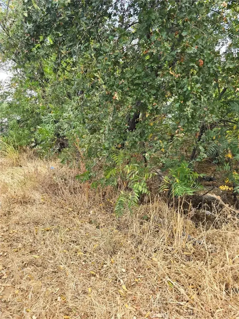 1466 Hammonton Smartsville, Linda, CA 95901 - Image #2