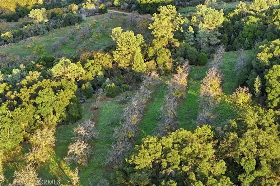 5685 Konocti, Kelseyville, CA 95451 - Image #2