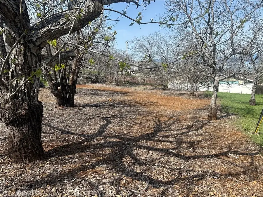 3165 Marina View, Kelseyville, CA 95451 - Image #2