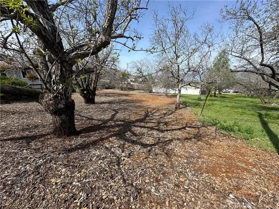 3165 Marina View, Kelseyville, CA 95451 - Image #3