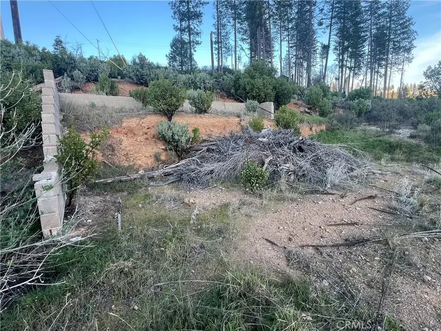 16789 Starview Loop, Cobb, CA 95426 - #3