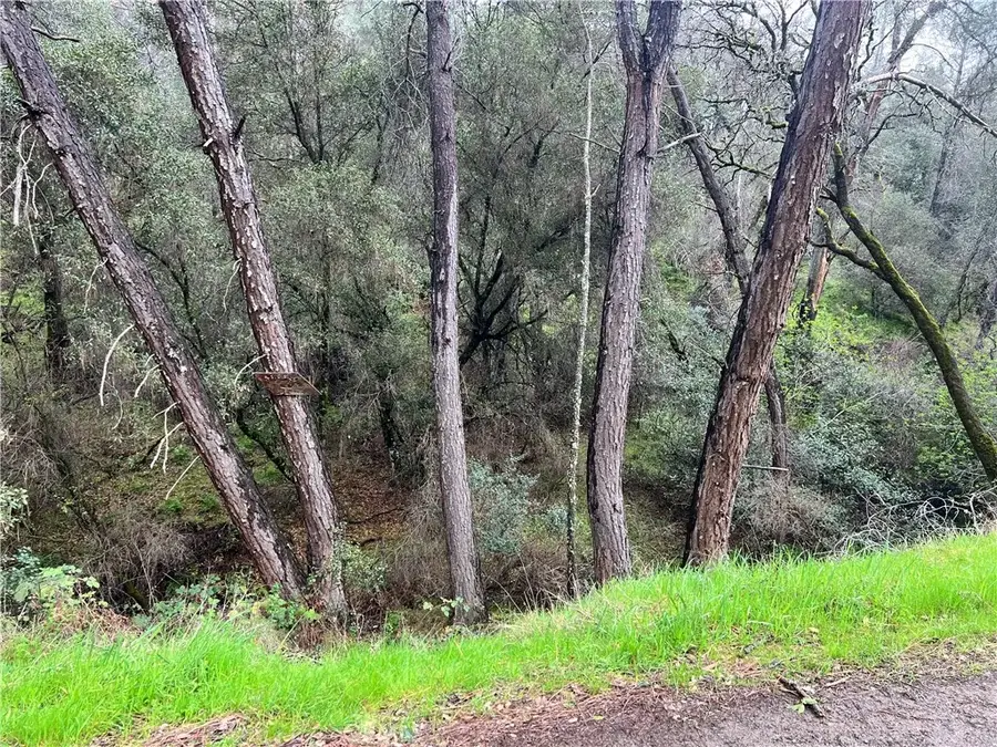 12215 Mountain View, Clearlake Oaks, CA 95423 - #3