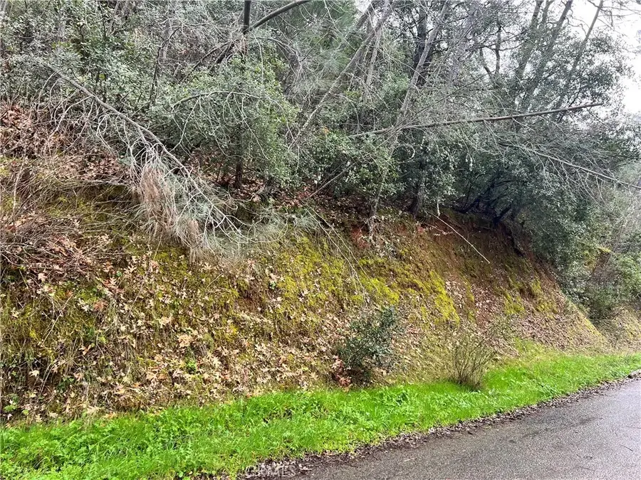 7022 Black Oak, Nice, CA 95464 - #3