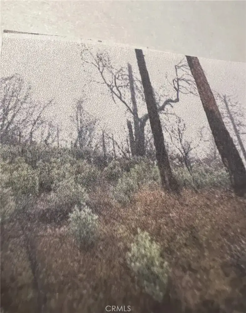 0 Rockerfeller Rd, Berry Creek, CA 95916 - #3