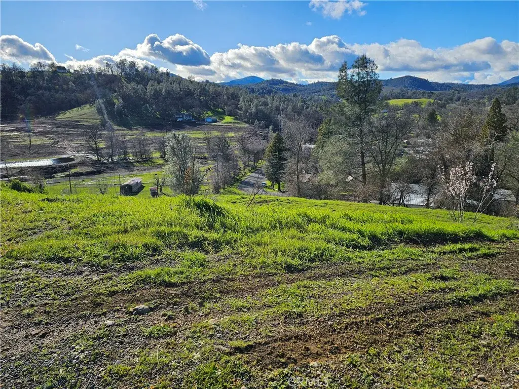 10167 Bell South, Lower Lake, CA 95457 - #1