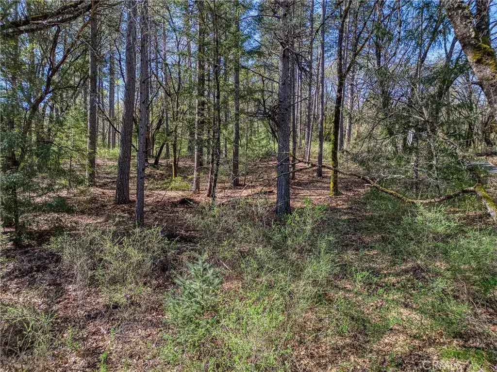 15347 Western Mine, Middletown, CA 95461 - #1