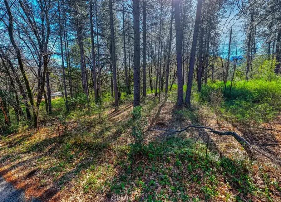 15347 Western Mine, Middletown, CA 95461 - #3