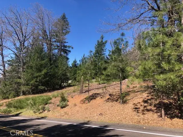 8713 Fox, Cobb, CA 95426 - #3