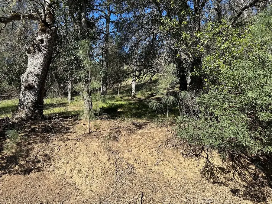 17509 Cache Creek, Clearlake Oaks, CA 95423 - #2