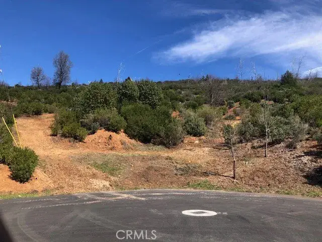 9738 Hoberg East, Cobb, CA 95426 - #2