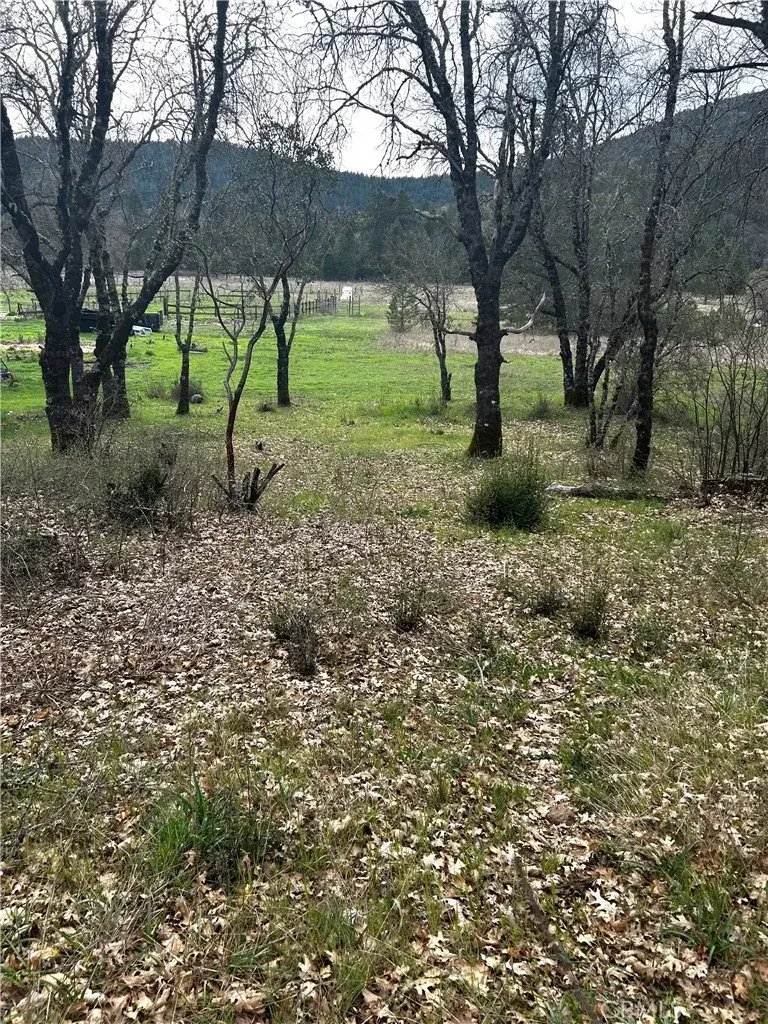 9505 Salmina, Kelseyville, CA 95451 - #3