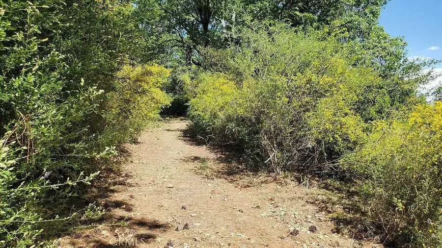 11890 Loch Lomond, Lake, CA 95461 - #2