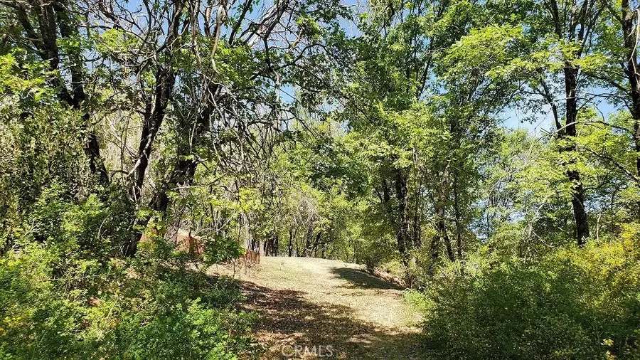 11890 Loch Lomond, Lake, CA 95461 - #3