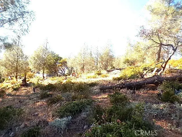 10070 El Capitan, Kelseyville, CA 95451 - #1