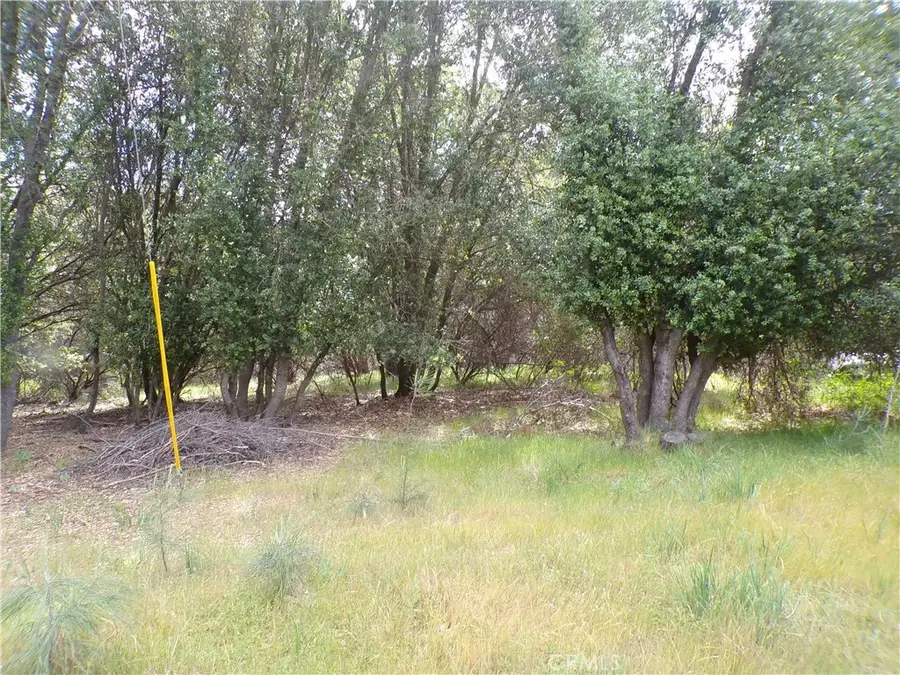 17472 Cache Creek, Clearlake Oaks, CA 95423 - #2