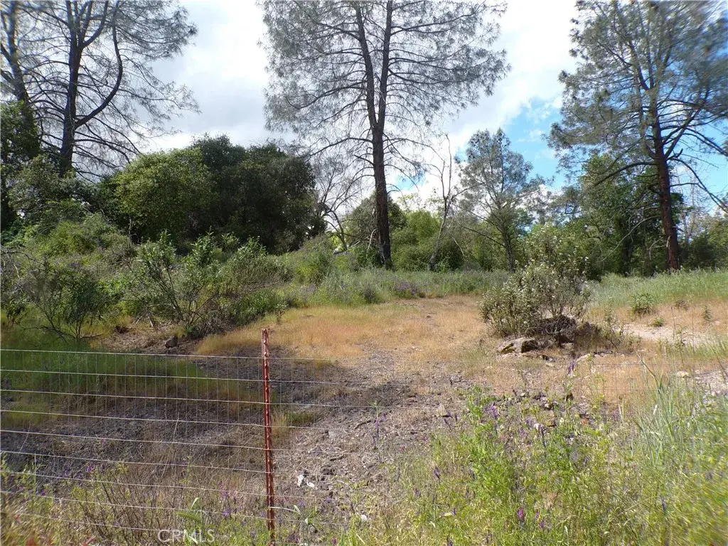 14304 Redbud, Clearlake, CA 95422 - #1