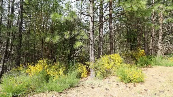 9072 Fox, Cobb, CA 95426