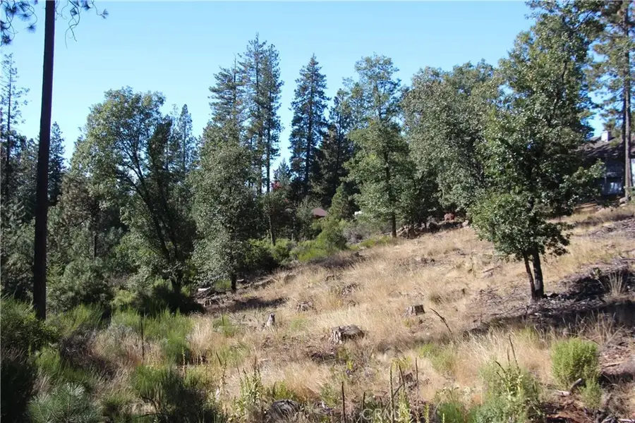 9072 Fox, Cobb, CA 95426 - #2