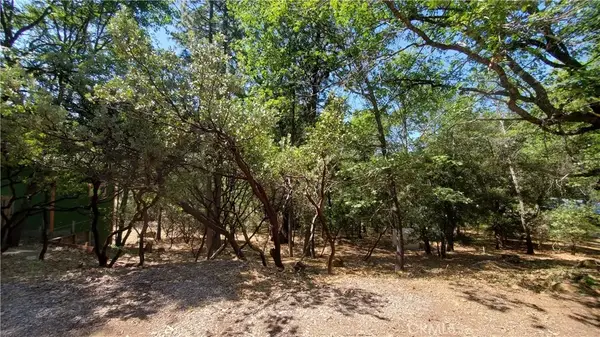 11545 Loch Lomond, Loch Lomond, CA 95461