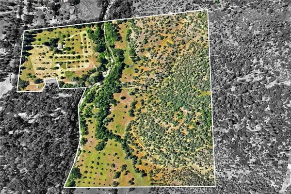 22550 Shady Grove Road, Middletown, CA 95461