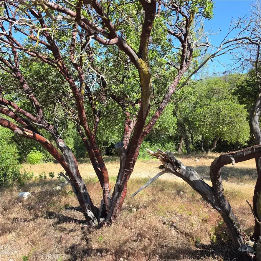3367 3rd, Clearlake, CA 95422 - #1