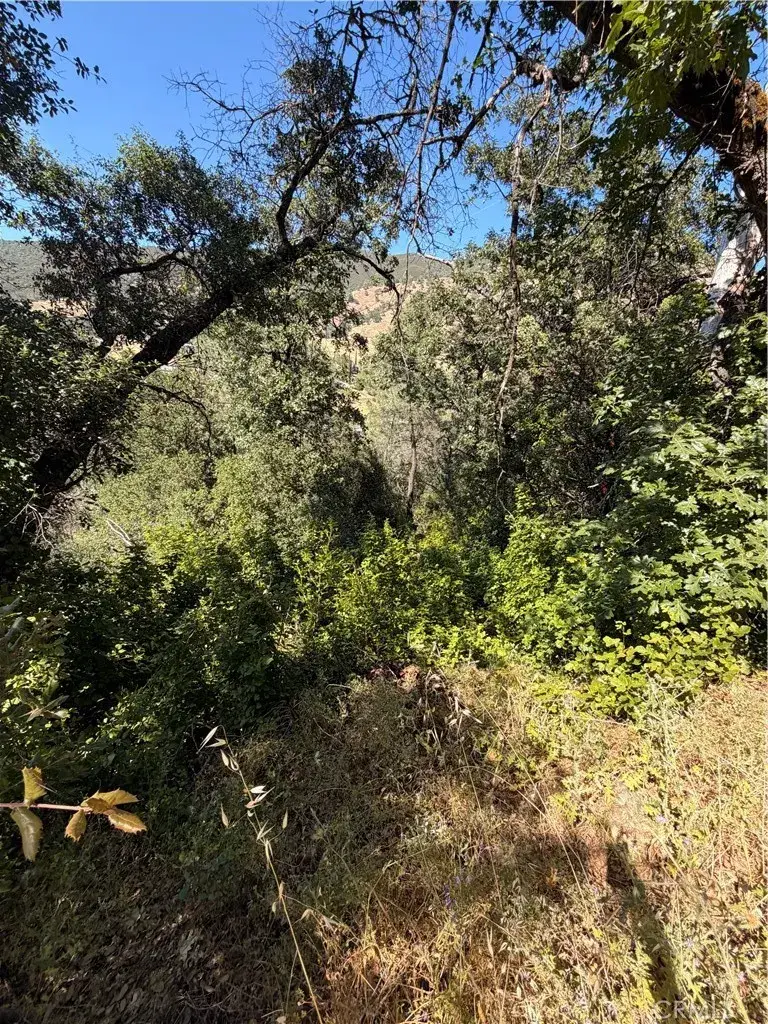 3403 Knob, Nice, CA 95464 - #1