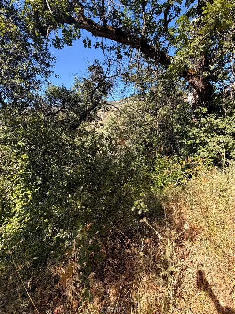 3403 Knob, Nice, CA 95464 - #3