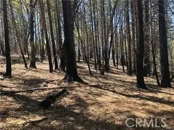 7097 High Valley, Lucerne, CA 95458
