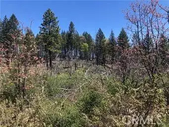 6847 High Valley, Lucerne, CA 95458