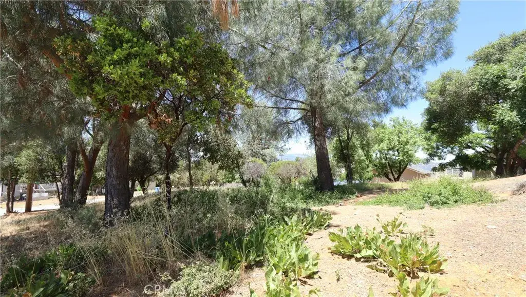 6940 Grande Vista, Kelseyville, CA 95451 - #1