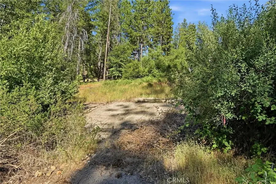 16132 Ponderosa, Cobb, CA 95426 - #3
