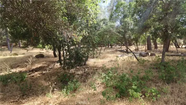 10465 Boren Bega, Kelseyville, CA 95451