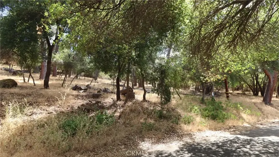 10465 Boren Bega, Kelseyville, CA 95451 - #2