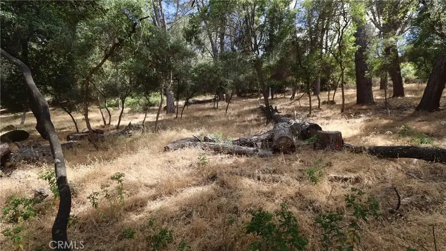 10465 Boren Bega, Kelseyville, CA 95451 - #3